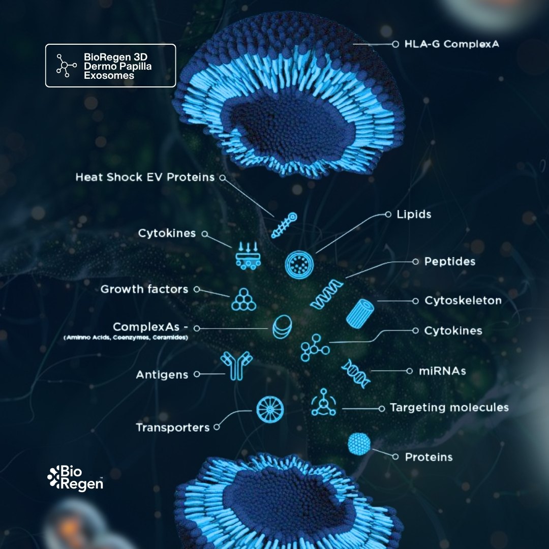 Why 3D Cell Culture Produces Better Exosomes Than Flat 2D Dishes